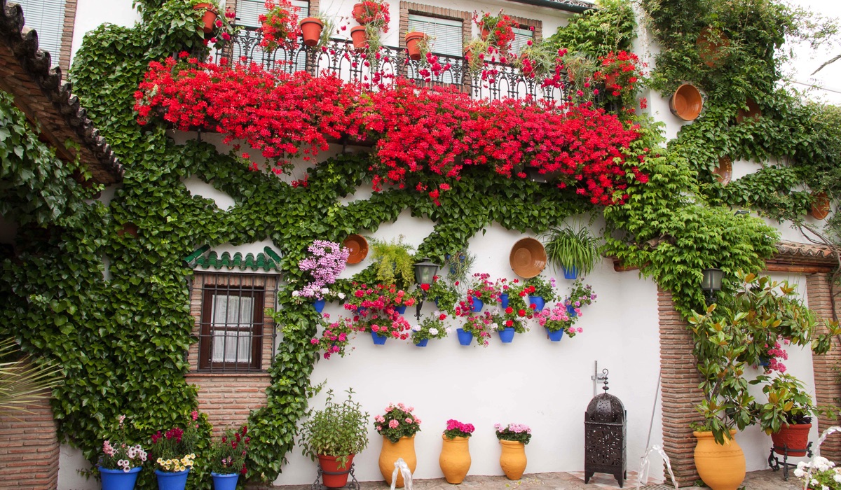 Museo del anís de Rute